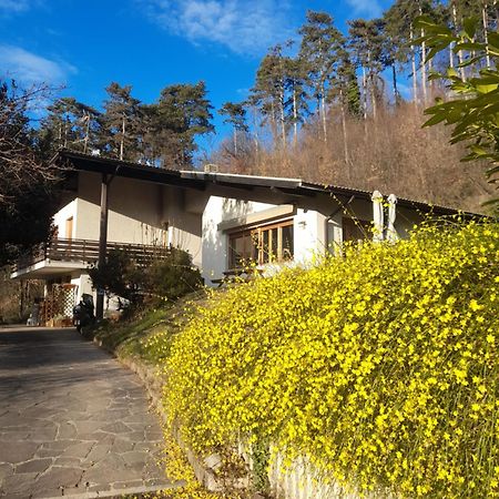 Marzola Bed and Breakfast Trente Buitenkant foto