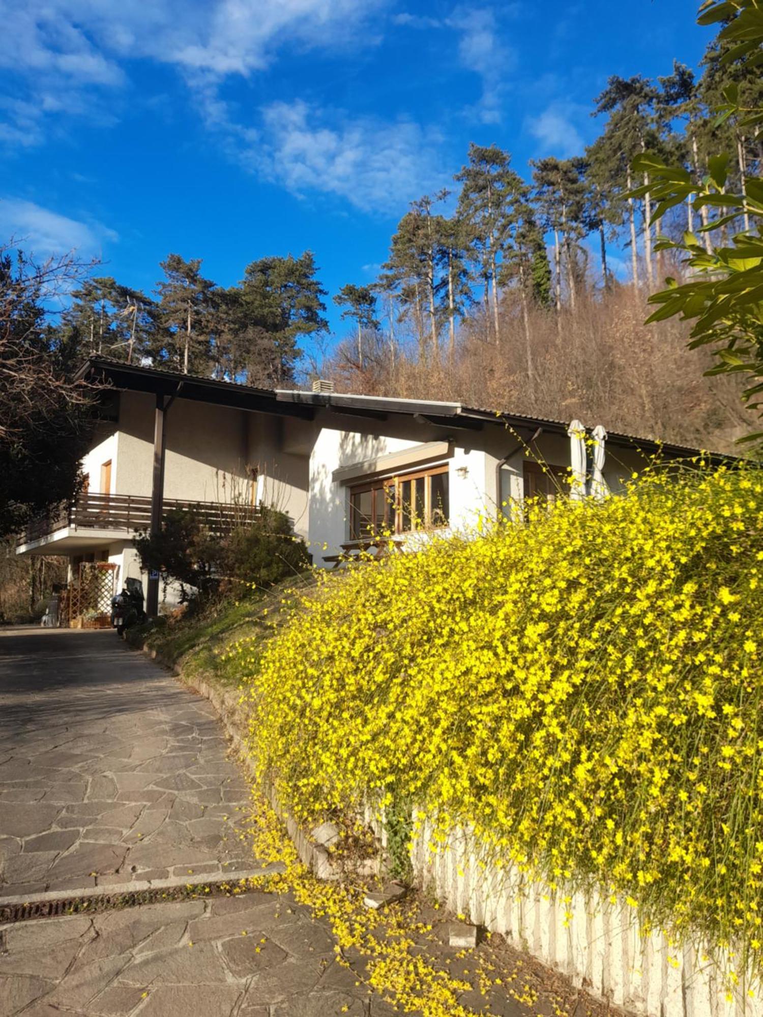 Marzola Bed and Breakfast Trente Buitenkant foto